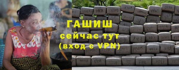 прущие грибы Алзамай