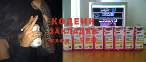 прущие грибы Алзамай