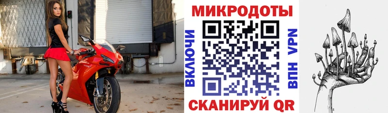 что такое наркотик  Елец  кракен онион  Галлюциногенные грибы MAGIC MUSHROOMS 